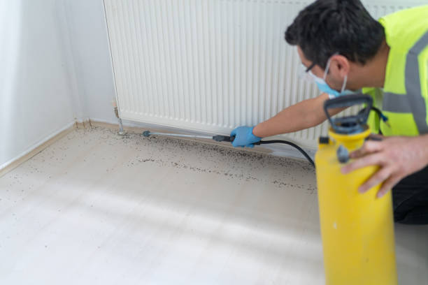 Trusted William Paterson University Of New Jersey, NJ Pest Control Experts